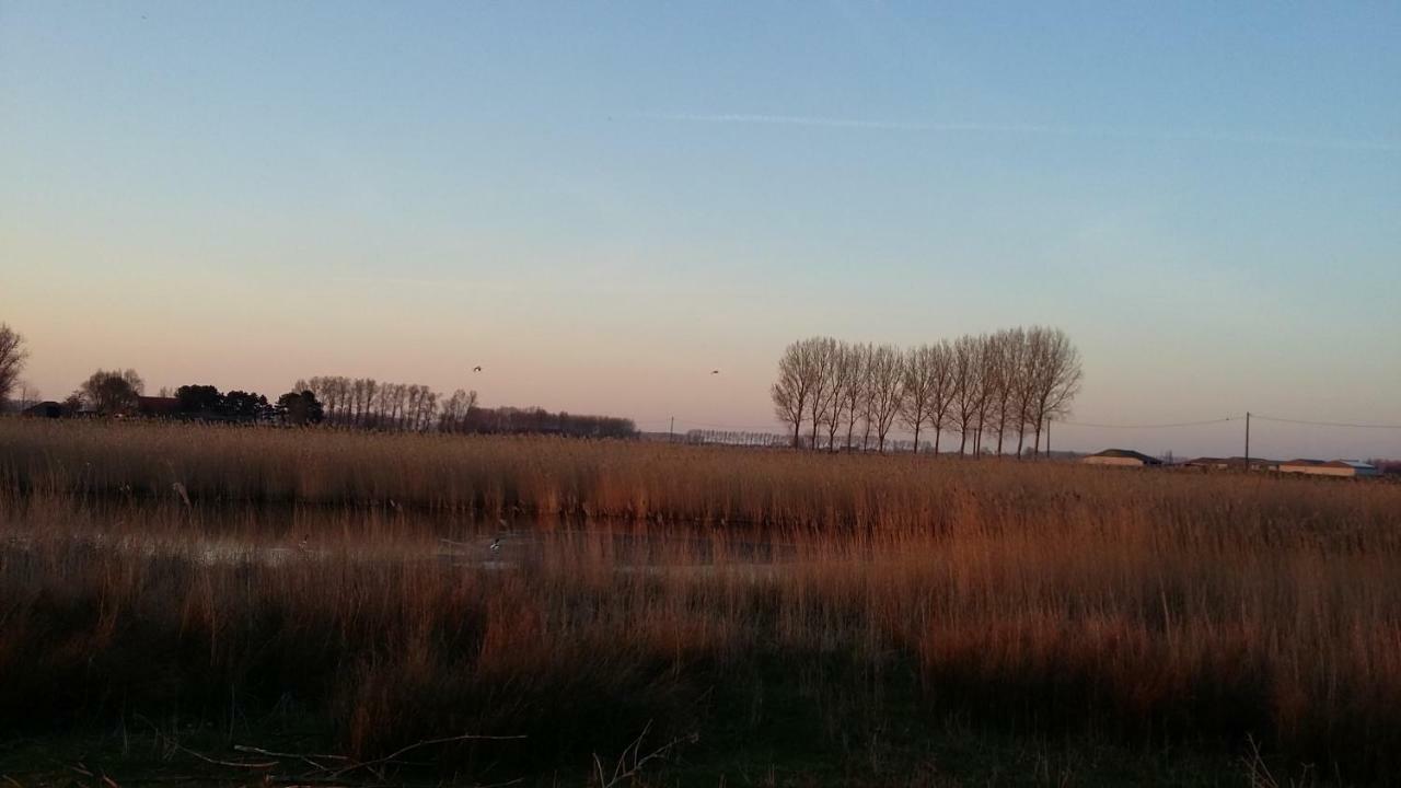 De Molenkreek Villa Sint-Margriete Esterno foto