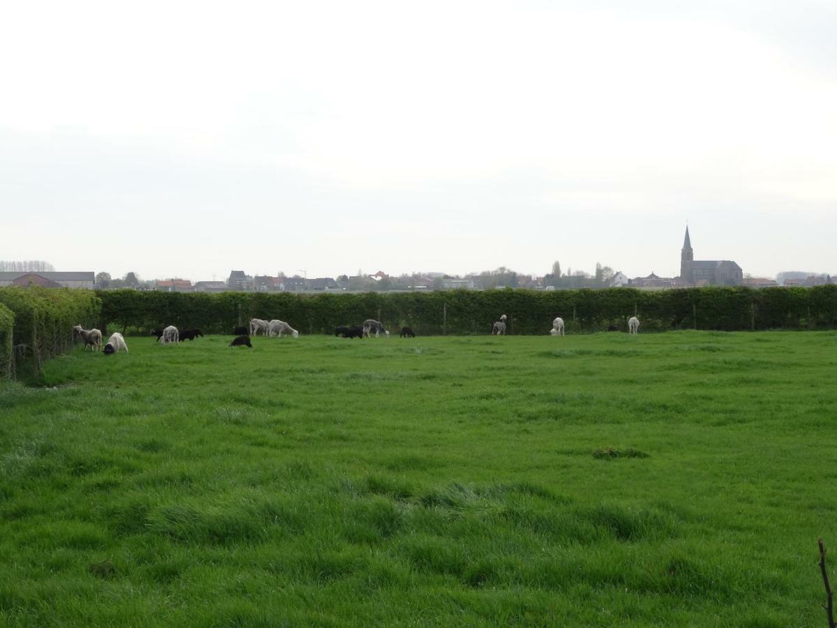 De Molenkreek Villa Sint-Margriete Esterno foto
