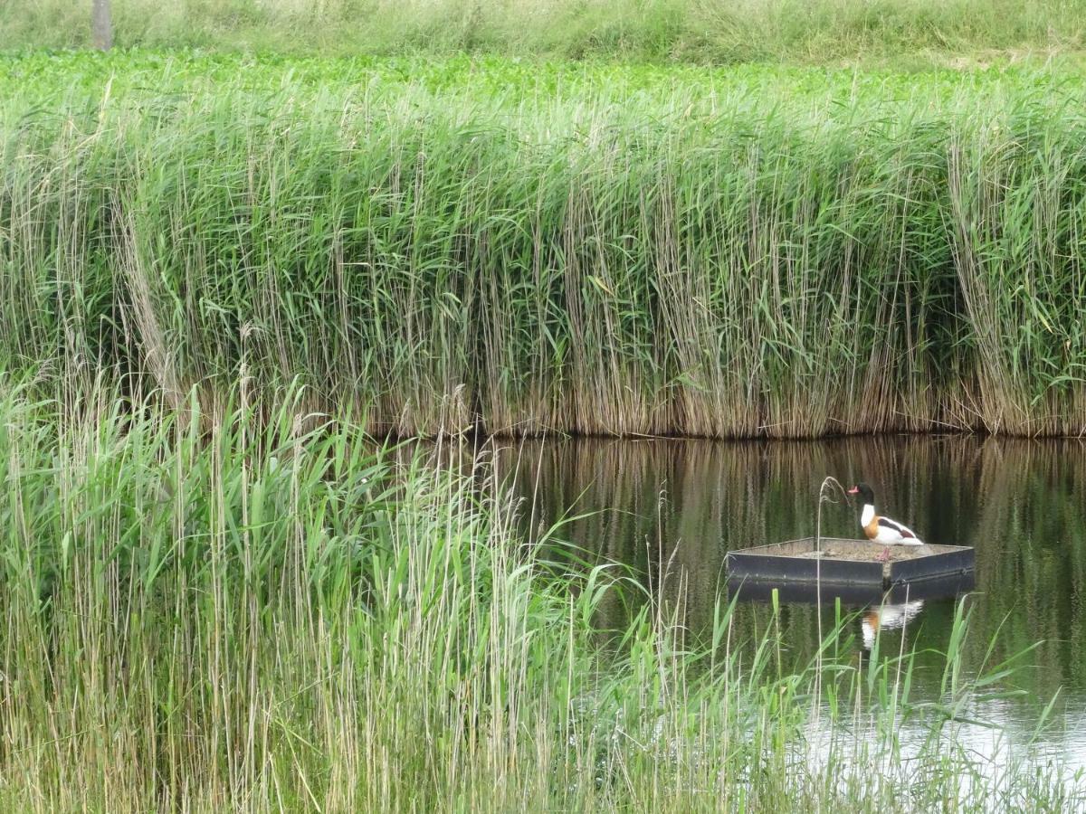 De Molenkreek Villa Sint-Margriete Esterno foto