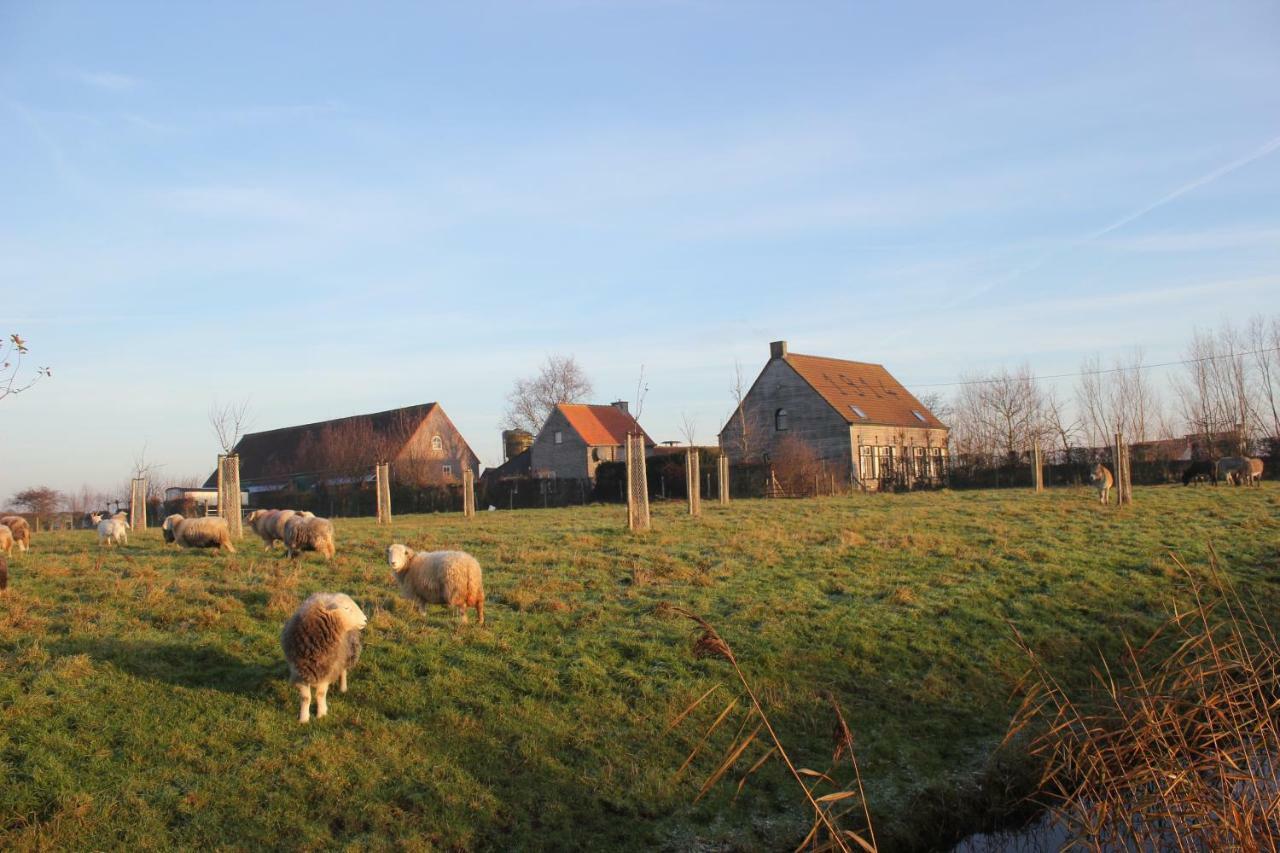 De Molenkreek Villa Sint-Margriete Esterno foto